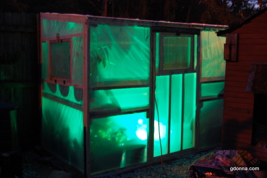 Our Tiny Greenhouse